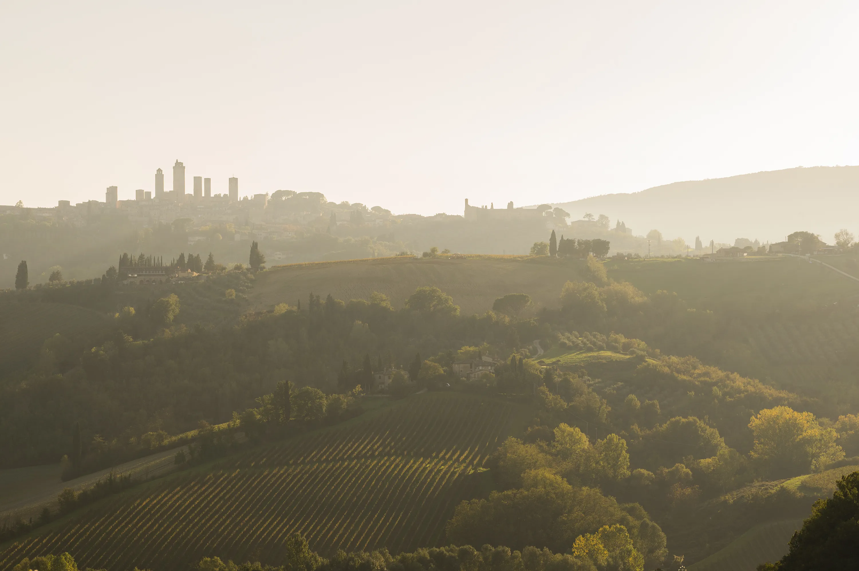 Landschaft in der Toskana